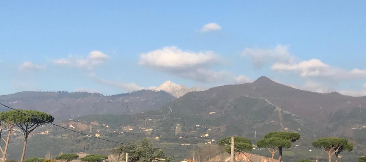Apartament Domus Zoe Forte dei Marmi Zewnętrze zdjęcie
